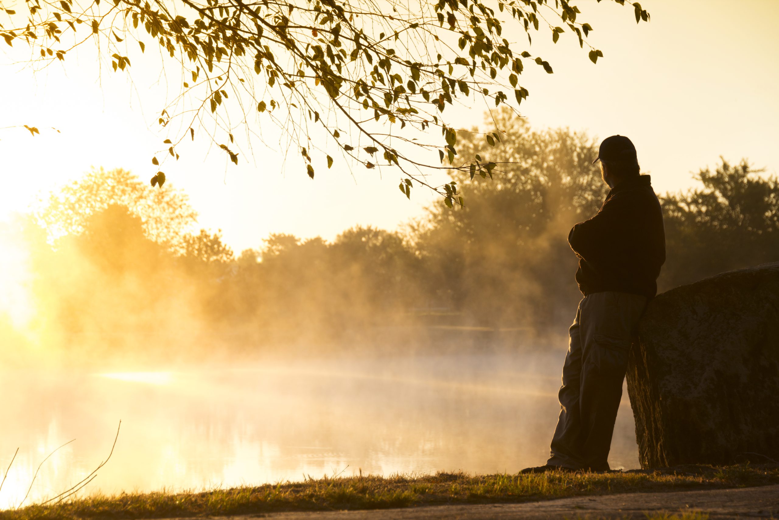 shutterstock_158291216