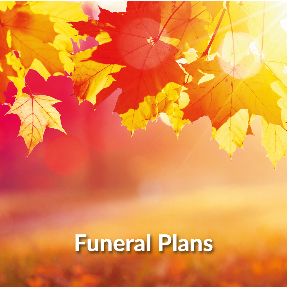 NAVIGATION SQUARE PICTURES-14