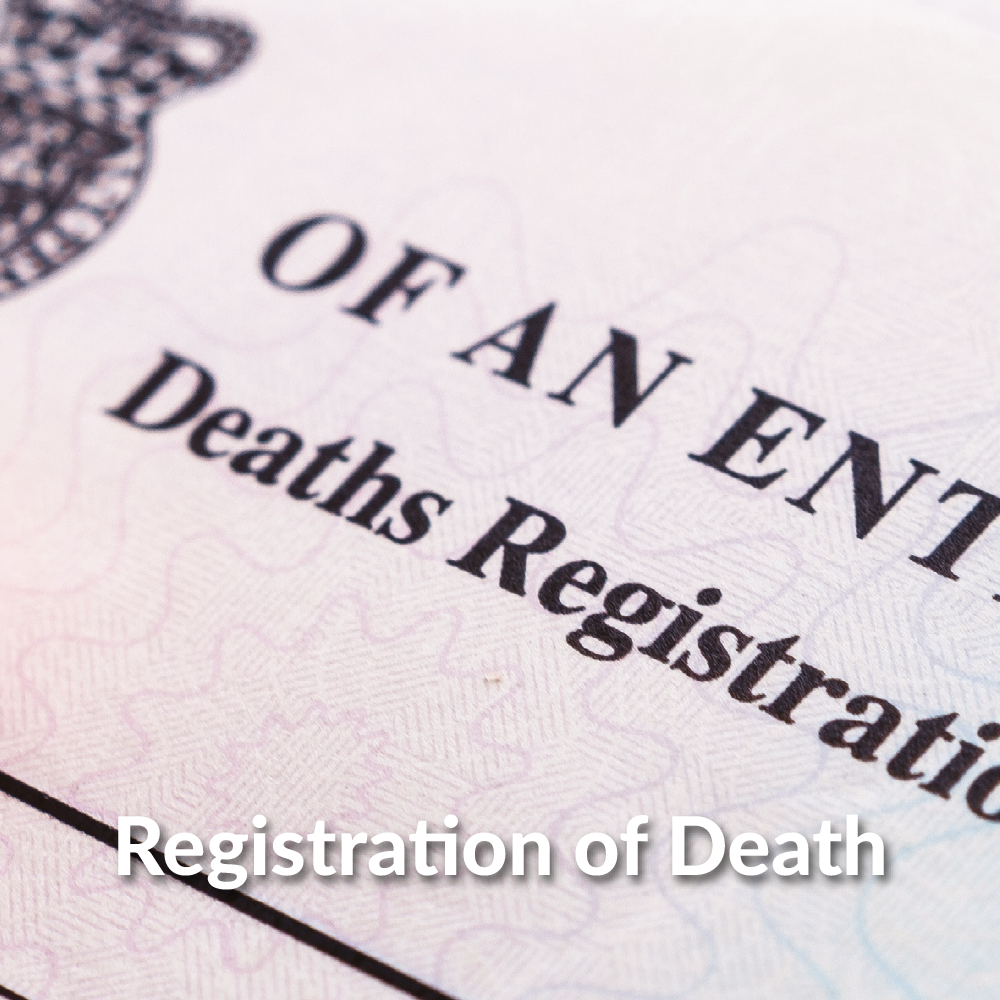 NAVIGATION SQUARE PICTURES 20 new